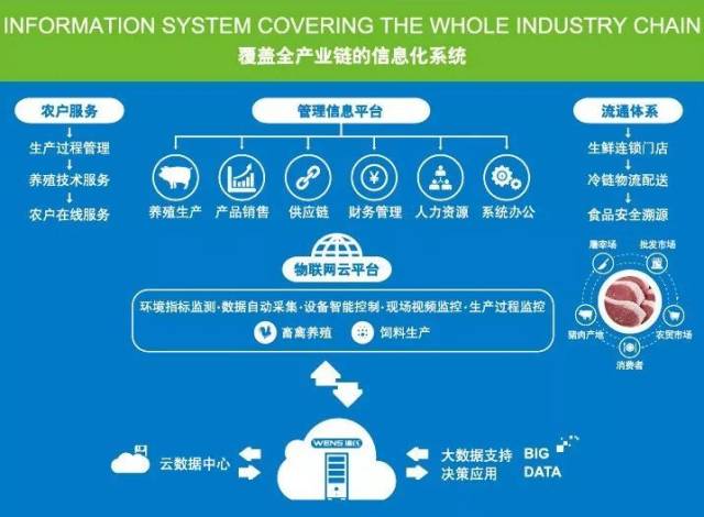 温氏携手金蝶成立互联网科技公司 布局数据服务，加速农业数字化